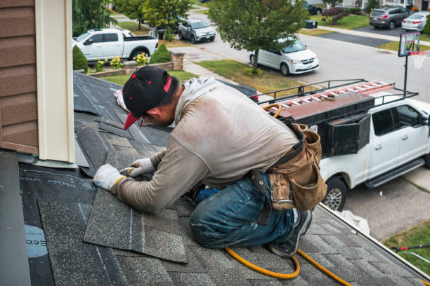 Professional Roof Leak Repair technician working in Ithaca, MI